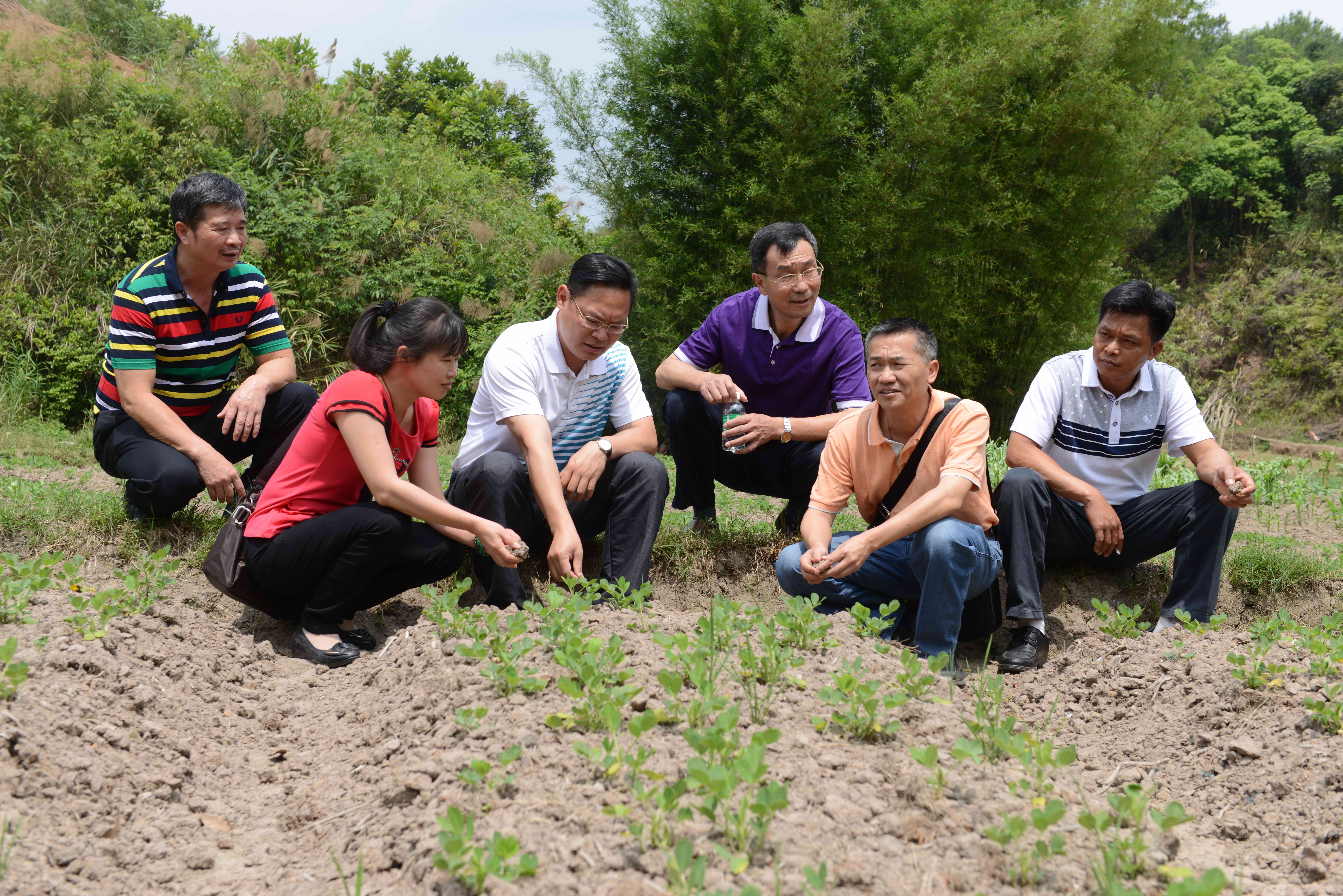 全國五一勞動(dòng)獎(jiǎng)?wù)芦@得者吳健華指導(dǎo)村及分析土壤