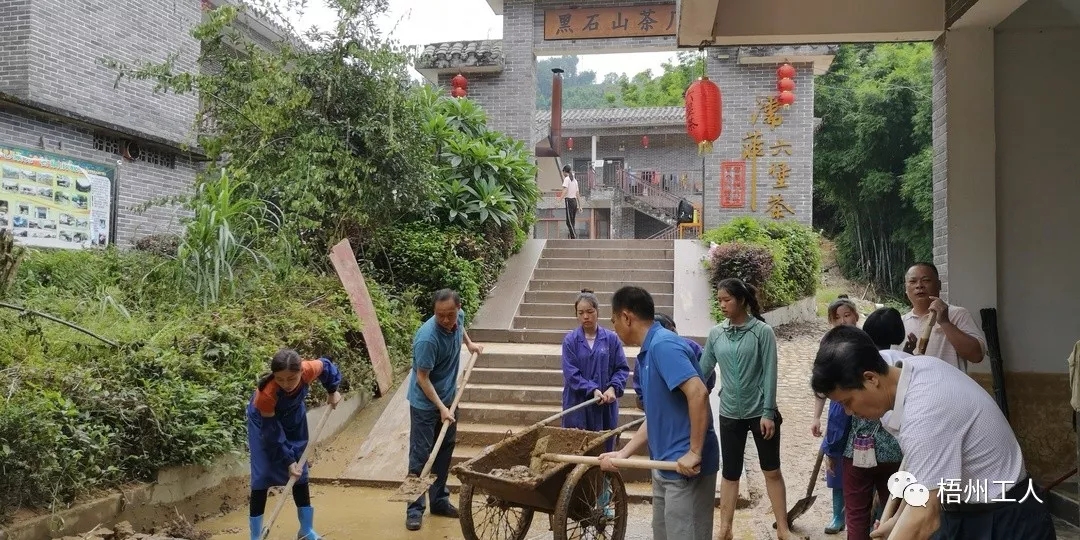 工會為六堡鎮(zhèn)茶農災后恢復生產注入活力