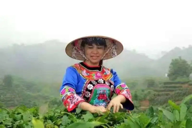 【梧州工匠】劉錦芳：鉆研和創(chuàng)新，帶領(lǐng)鄉(xiāng)親發(fā)家致富