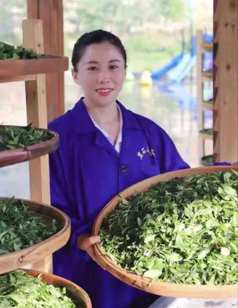 【梧州工匠】石濡菲：擇一茶，修一技，終一生