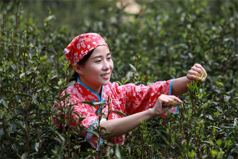 2022年“全國(guó)十佳農(nóng)民”揭曉 全國(guó)勞模石濡菲上榜！