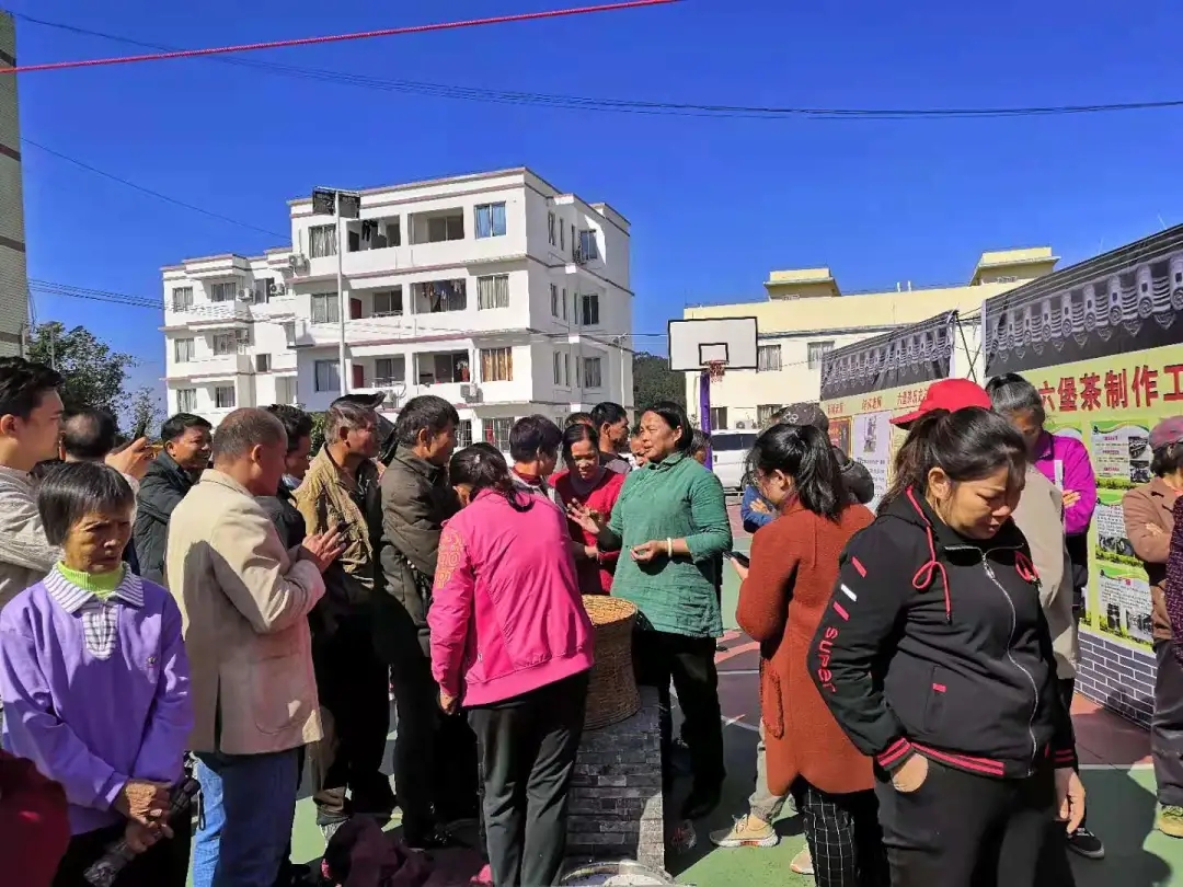 蒼梧縣總工會舉辦六堡茶技能培訓(xùn)