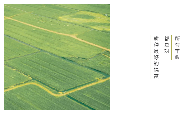 長洲區(qū)總工會走訪慰問農(nóng)民工