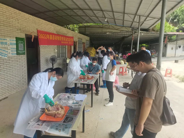 藤縣總工會舉辦首屆動物防疫職業(yè)技能競賽活動