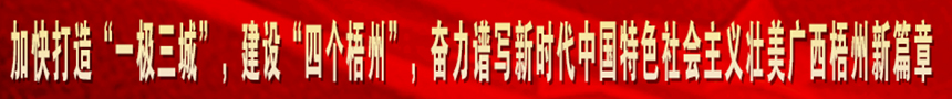 加快打造“一級(jí)三城市”，建設(shè)“四個(gè)梧州”，奮力譜寫(xiě)新時(shí)代中國(guó)特色社會(huì)主義壯美廣西梧州新篇章